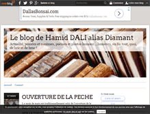 Tablet Screenshot of debricetdebroc.over-blog.com