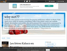 Tablet Screenshot of mangeurdegrenouille-burkinafaso.over-blog.com