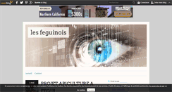 Desktop Screenshot of feguinois.over-blog.com