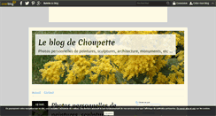 Desktop Screenshot of choupette83.over-blog.com