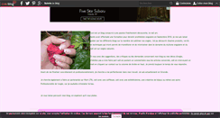 Desktop Screenshot of floranails.over-blog.com