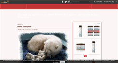 Desktop Screenshot of lapinkoira.chienfinnoisdelaponie.samoyede.over-blog.com