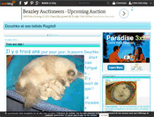 Tablet Screenshot of bebe-ragdoll-douchka.over-blog.com