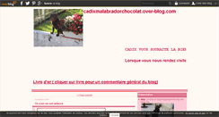 Desktop Screenshot of cadixmalabradorchocolat.over-blog.com
