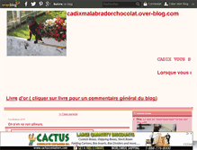 Tablet Screenshot of cadixmalabradorchocolat.over-blog.com