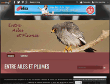 Tablet Screenshot of entre-ailes-et-plumes.over-blog.com