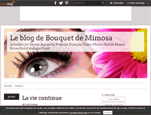Tablet Screenshot of lebabillard.over-blog.com