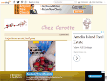 Tablet Screenshot of carotte.over-blog.fr