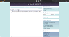 Desktop Screenshot of brudipat.over-blog.com