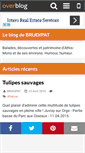 Mobile Screenshot of brudipat.over-blog.com