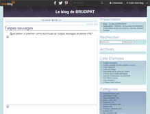 Tablet Screenshot of brudipat.over-blog.com