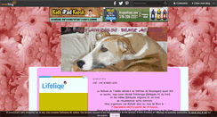 Desktop Screenshot of mapetitegalga.over-blog.com