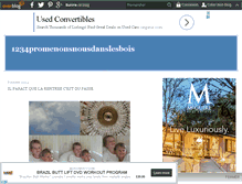 Tablet Screenshot of 1234promenonsnousdanslesbois.over-blog.com