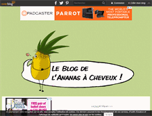Tablet Screenshot of painapo.over-blog.fr