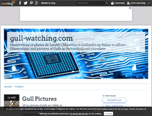 Tablet Screenshot of gull-watching.over-blog.com