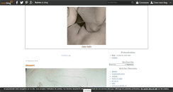 Desktop Screenshot of clairebelin.over-blog.com