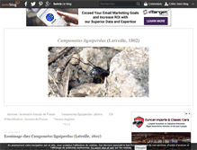 Tablet Screenshot of fourmi-camponotusligniperdus.over-blog.com