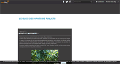 Desktop Screenshot of leshautsderiquets.over-blog.com