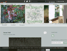 Tablet Screenshot of kinekelly.over-blog.com