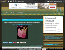 Tablet Screenshot of danseorientale.over-blog.fr