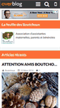 Mobile Screenshot of boutchoux.over-blog.fr