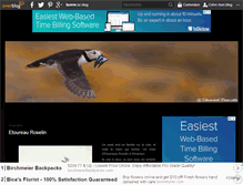 Tablet Screenshot of birder-du-nord.over-blog.fr