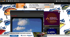Desktop Screenshot of carn-as.over-blog.com