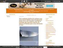 Tablet Screenshot of marechal-ferrant.over-blog.com