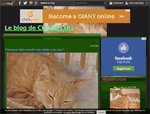 Tablet Screenshot of chat-pitre.over-blog.com