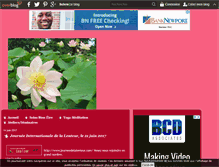 Tablet Screenshot of be-auxfleursdelotus.over-blog.com