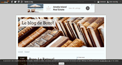 Desktop Screenshot of bozo-en-amerique.over-blog.com