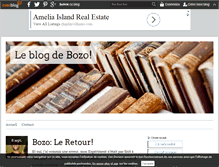 Tablet Screenshot of bozo-en-amerique.over-blog.com