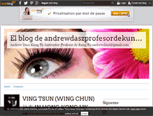 Tablet Screenshot of andrewdaszprofesordekung-fu.over-blog.es