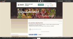 Desktop Screenshot of liquidambar54.over-blog.com
