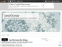 Tablet Screenshot of carp0coup.over-blog.com