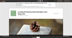 Desktop Screenshot of lesmoucheursduclpm.over-blog.com