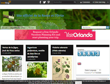 Tablet Screenshot of laronceetl-ortie.over-blog.fr