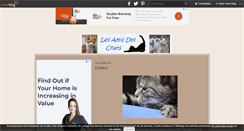 Desktop Screenshot of lesamisdeschats.over-blog.com