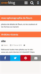 Mobile Screenshot of etamine.over-blog.fr