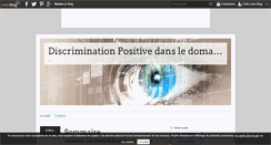 Desktop Screenshot of discrimination.positive.over-blog.com