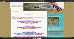 Desktop Screenshot of loisirscreapupuce95.over-blog.com