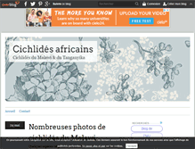 Tablet Screenshot of cichlides.over-blog.com