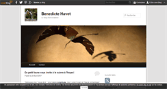 Desktop Screenshot of benedictehavet.over-blog.com