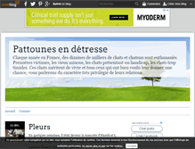 Tablet Screenshot of coeurdechat.over-blog.com