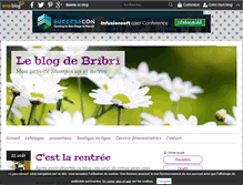 Tablet Screenshot of bribriscrapetcompagnie.over-blog.com