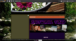 Desktop Screenshot of guadeloupe-massage-sejour.over-blog.com