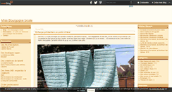 Desktop Screenshot of missbourgognebrode.over-blog.com