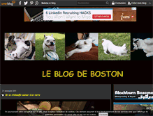 Tablet Screenshot of boubou-boston.over-blog.com