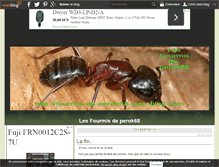 Tablet Screenshot of fourmis-de-perok68.over-blog.com