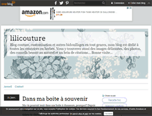 Tablet Screenshot of lilicouture.over-blog.com